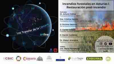 Incendios forestales en Asturias I. Restauración post-incendio.