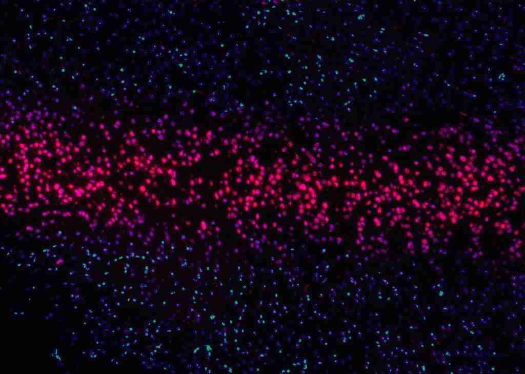 Pint23ES: Sobre desafíos éticos y etílicos