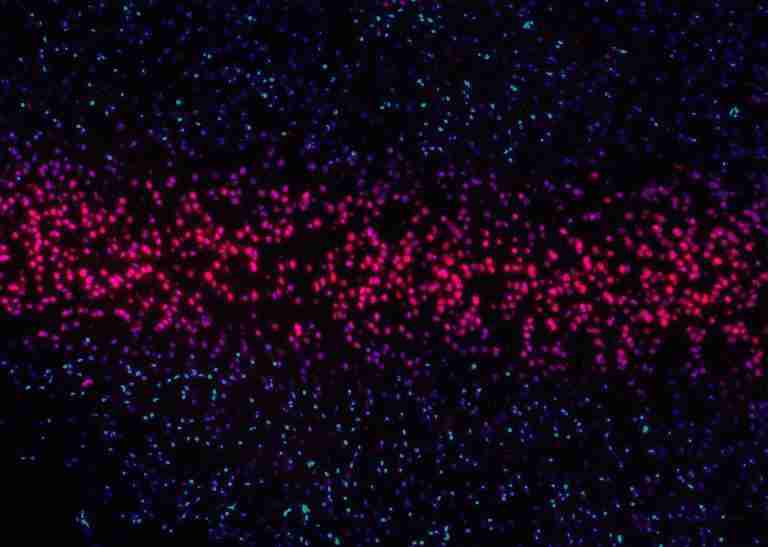 Pint23ES: Sobre desafíos éticos y etílicos