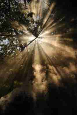 Pint23ES: Ant-man versus Groot