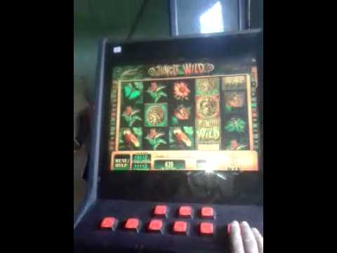 ranura alice in wonderland