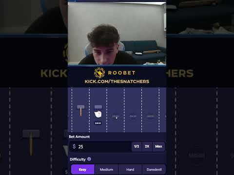 পোল্ট্রি হাইওয়ে: রাস্তা পারাপারের জন্য একটি নিখুঁত রোমাঞ্চকর খেলা