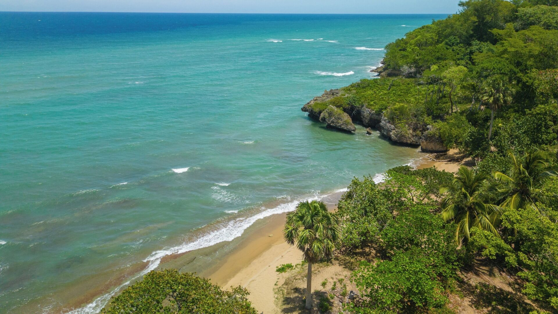 Beste Blackjack 21 kostenloses Online -Spiel Casinos abzüglich Einzahlungsbonus inside Deutschland 2026 Vollständige aktualisierte Verkettete liste