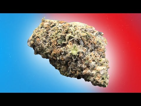 how strong is stardawg weed