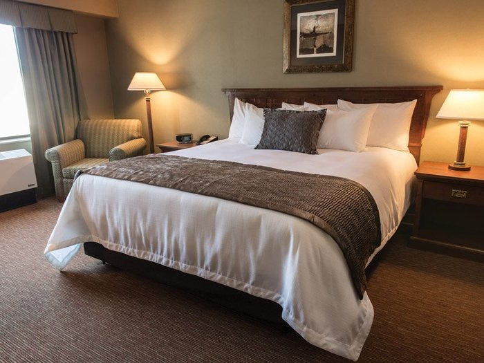 no deposit bonus 30 free spins