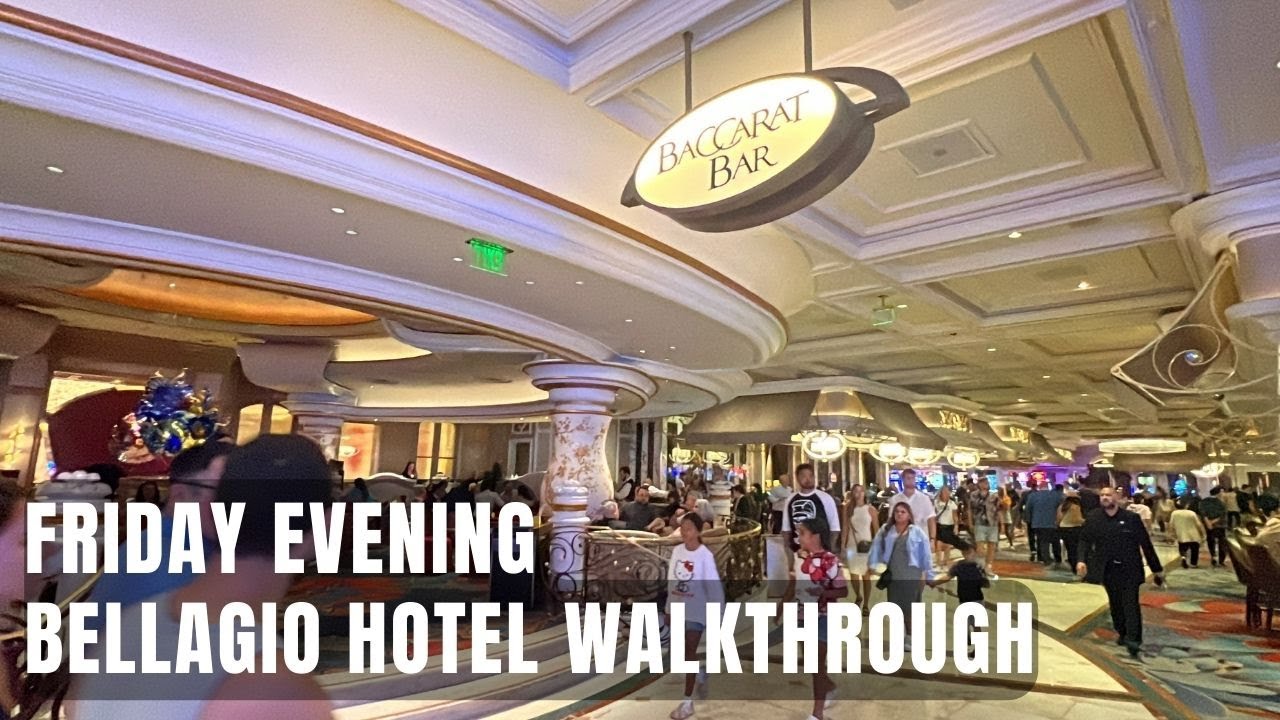 Regal Panda An informed Gambling games & $1000 Bonus