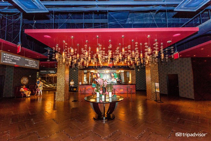 $two hundred no deposit casino bonuses No deposit Extra 2 hundred Free Spins Real cash 2026