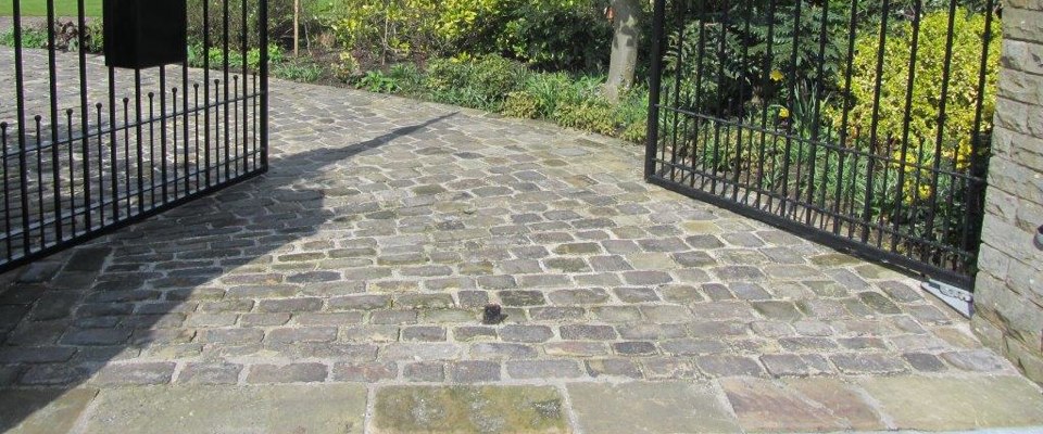 Play Terme conseillé Ink Sur internet Slot cognition free du coup with Bonus