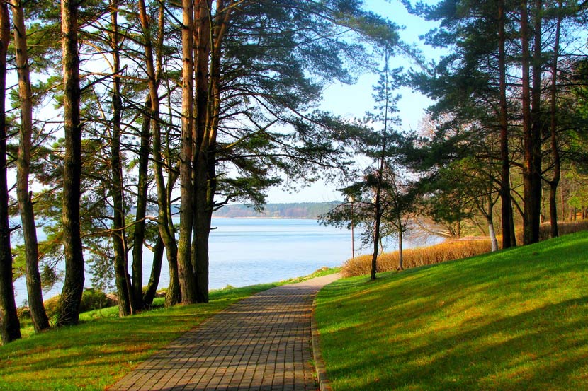 Funciona marco polo Slot de video Dentro del Slot Divine Fortune