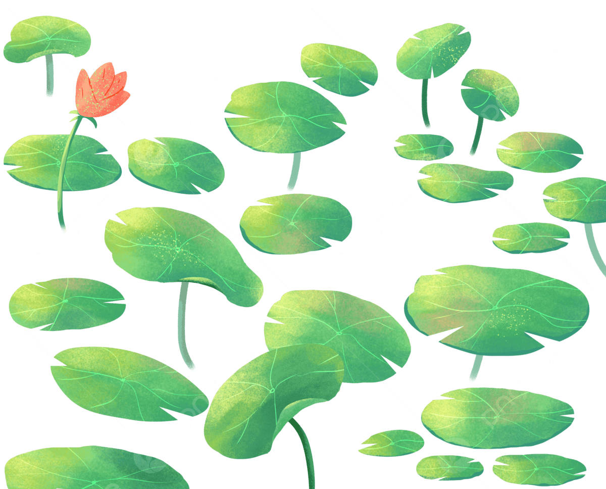 На официальном сайте АО «Сәтті Жұлдыз» можно приобрести билеты на онлайн лотереи Казахстана: Bingo, Keno, Loto, Loto и Naval Battle.