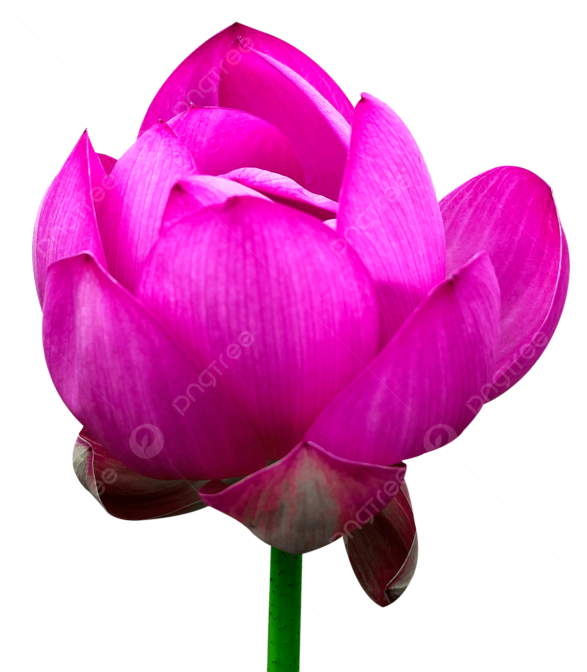 loto club скачать